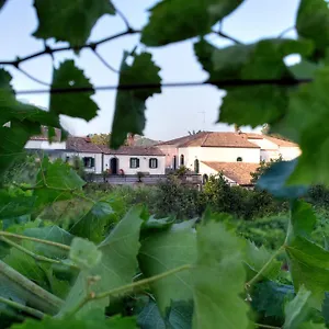 Dom wakacyjny Etna, Piedimonte Etneo